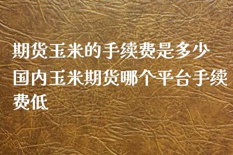 期货玉米的手续费是多少 国内玉米期货哪个平台手续费低_https://www.xyskdbj.com_原油直播_第1张