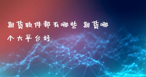 期货软件都有哪些 期货哪个大平台好_https://www.xyskdbj.com_期货学院_第1张