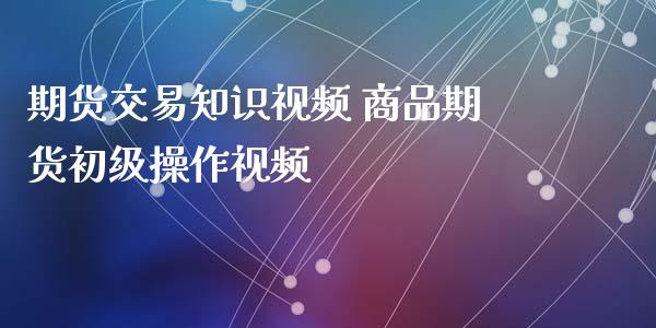 期货交易知识视频 商品期货初级操作视频_https://www.xyskdbj.com_期货学院_第1张