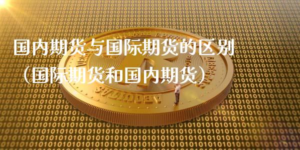 国内期货与国际期货的区别（国际期货和国内期货）_https://www.xyskdbj.com_期货手续费_第1张