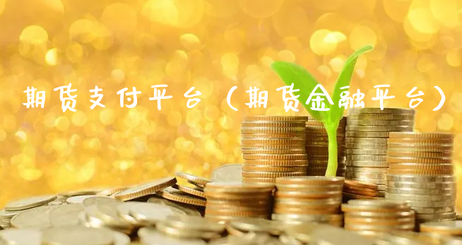 期货支付平台（期货金融平台）_https://www.xyskdbj.com_期货手续费_第1张