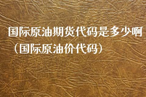 国际原油期货代码是多少啊（国际原油价代码）_https://www.xyskdbj.com_期货学院_第1张