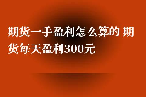 期货一手盈利怎么算的 期货每天盈利300元_https://www.xyskdbj.com_期货行情_第1张