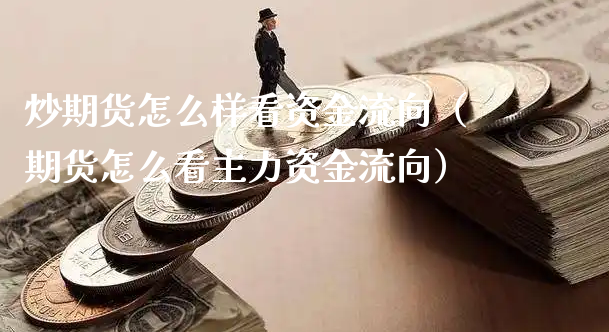 炒期货怎么样看资金流向（期货怎么看主力资金流向）_https://www.xyskdbj.com_原油行情_第1张