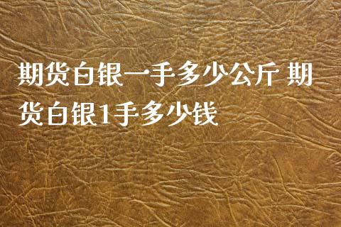 期货白银一手多少公斤 期货白银1手多少钱_https://www.xyskdbj.com_期货手续费_第1张