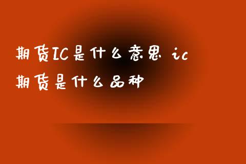 期货IC是什么意思 ic期货是什么品种_https://www.xyskdbj.com_期货学院_第1张