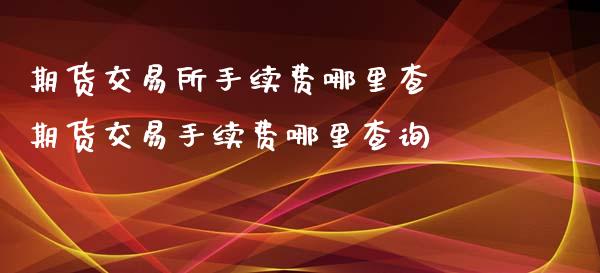 期货交易所手续费哪里查 期货交易手续费哪里查询_https://www.xyskdbj.com_期货平台_第1张