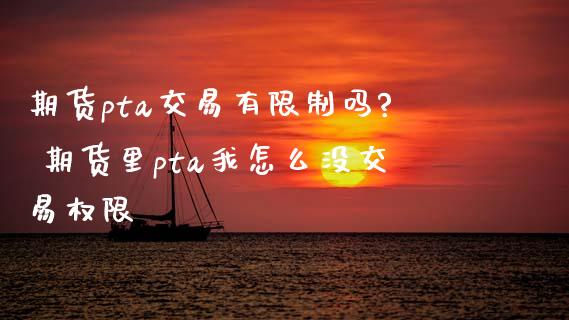 期货pta交易有限制吗? 期货里pta我怎么没交易权限_https://www.xyskdbj.com_原油直播_第1张