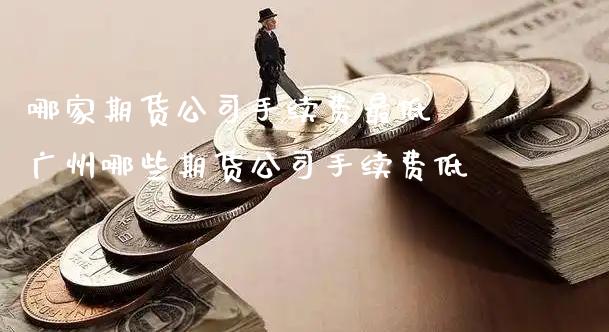 哪家期货公司手续费最低 广州哪些期货公司手续费低_https://www.xyskdbj.com_期货学院_第1张