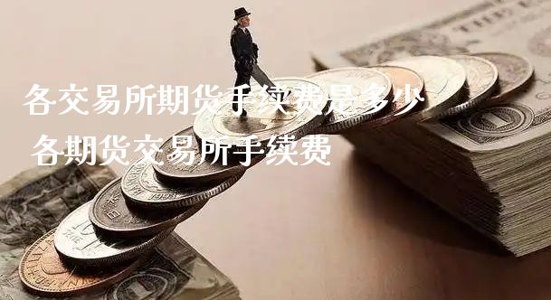 各交易所期货手续费是多少 各期货交易所手续费_https://www.xyskdbj.com_期货行情_第1张