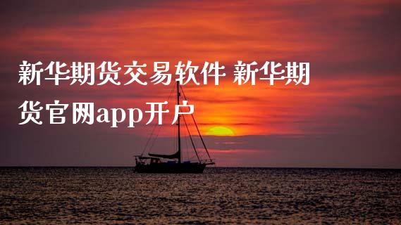 新华期货交易软件 新华期货官网app开户_https://www.xyskdbj.com_期货学院_第1张