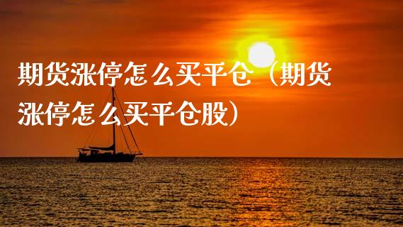 期货涨停怎么买平仓（期货涨停怎么买平仓股）_https://www.xyskdbj.com_期货手续费_第1张