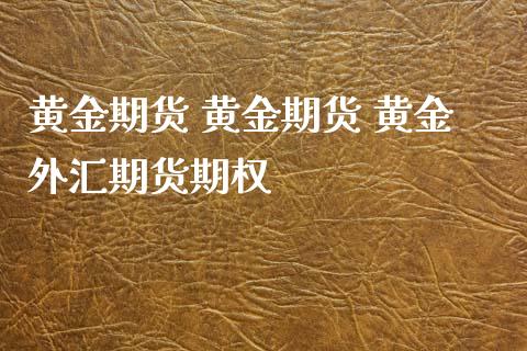 黄金期货 黄金期货 黄金外汇期货期权_https://www.xyskdbj.com_期货学院_第1张