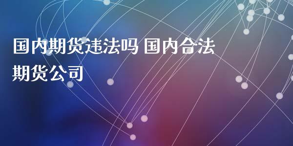 国内期货违法吗 国内合法期货公司_https://www.xyskdbj.com_期货手续费_第1张