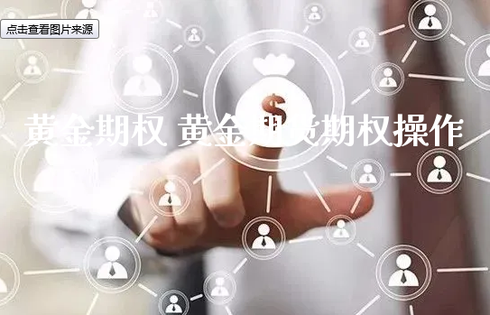 黄金期权 黄金期货期权操作_https://www.xyskdbj.com_原油直播_第1张