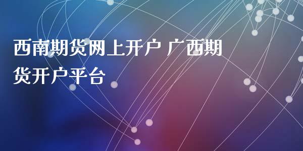 西南期货网上开户 广西期货开户平台_https://www.xyskdbj.com_期货手续费_第1张