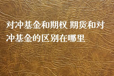 对冲基金和期权 期货和对冲基金的区别在哪里_https://www.xyskdbj.com_期货学院_第1张