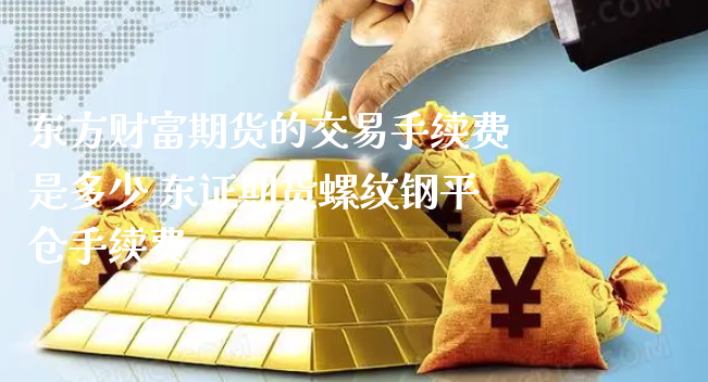 东方财富期货的交易手续费是多少 东证期货螺纹钢平仓手续费_https://www.xyskdbj.com_期货学院_第1张