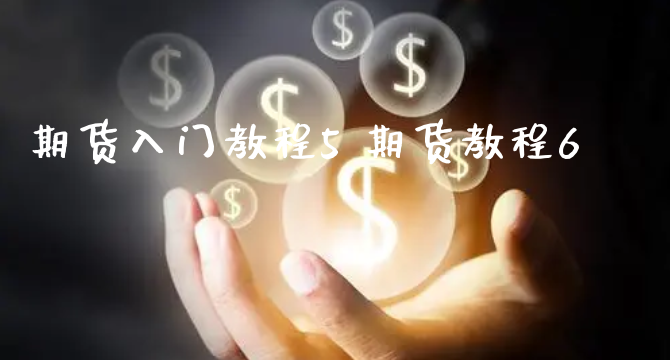 期货入门教程5 期货教程6_https://www.xyskdbj.com_期货学院_第1张