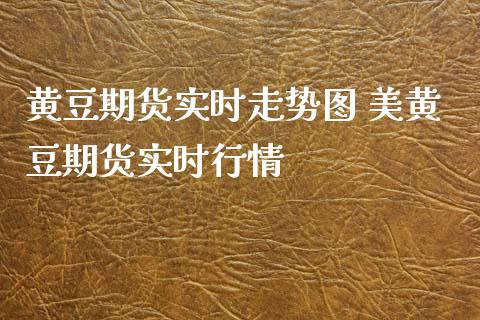 黄豆期货实时走势图 美黄豆期货实时行情_https://www.xyskdbj.com_期货行情_第1张