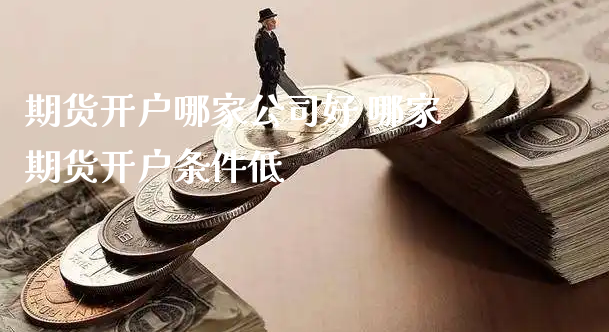 期货开户哪家公司好 哪家期货开户条件低_https://www.xyskdbj.com_期货学院_第1张