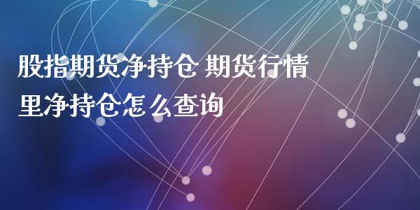 股指期货净持仓 期货行情里净持仓怎么查询_https://www.xyskdbj.com_期货学院_第1张