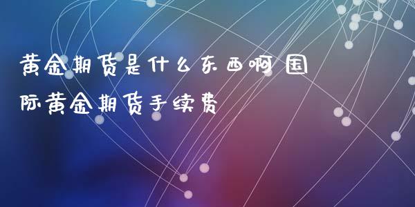 黄金期货是什么东西啊 国际黄金期货手续费_https://www.xyskdbj.com_原油直播_第1张