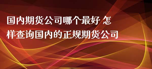 国内期货公司哪个最好 怎样查询国内的正规期货公司_https://www.xyskdbj.com_原油直播_第1张