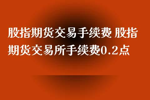 股指期货交易手续费 股指期货交易所手续费0.2点_https://www.xyskdbj.com_原油直播_第1张