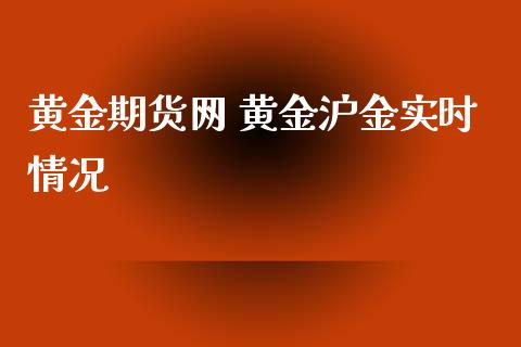 黄金期货网 黄金沪金实时情况_https://www.xyskdbj.com_期货学院_第1张