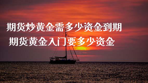 期货炒黄金需多少资金到期 期货黄金入门要多少资金_https://www.xyskdbj.com_原油直播_第1张