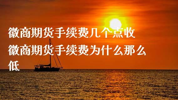 徽商期货手续费几个点收 徽商期货手续费为什么那么低_https://www.xyskdbj.com_期货行情_第1张