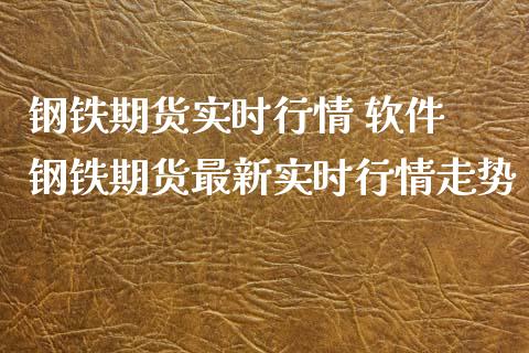 钢铁期货实时行情 软件 钢铁期货最新实时行情走势_https://www.xyskdbj.com_期货学院_第1张