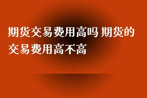 期货交易费用高吗 期货的交易费用高不高_https://www.xyskdbj.com_原油直播_第1张