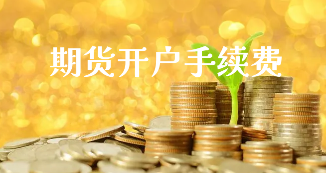 期货开户手续费_https://www.xyskdbj.com_期货学院_第1张