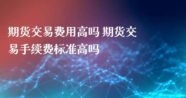 期货交易费用高吗 期货交易手续费标准高吗_https://www.xyskdbj.com_期货行情_第1张