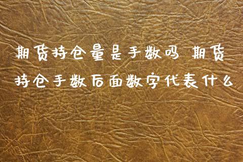 期货持仓量是手数吗 期货持仓手数后面数字代表什么_https://www.xyskdbj.com_原油行情_第1张