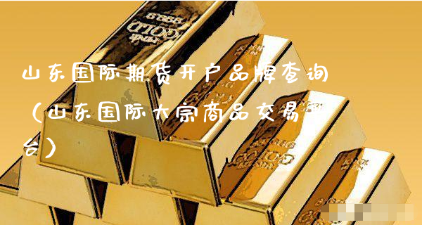 山东国际期货开户品牌查询（山东国际大宗商品交易平台）_https://www.xyskdbj.com_期货平台_第1张