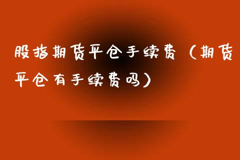 股指期货平仓手续费（期货平仓有手续费吗）_https://www.xyskdbj.com_期货学院_第1张