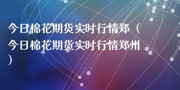 今日棉花期货实时行情郑（今日棉花期货实时行情郑州）_https://www.xyskdbj.com_期货平台_第1张