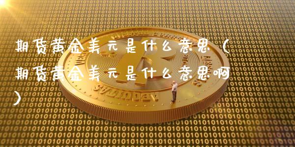 期货黄金美元是什么意思（期货黄金美元是什么意思啊）_https://www.xyskdbj.com_期货学院_第1张