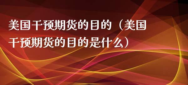 美国干预期货的目的（美国干预期货的目的是什么）_https://www.xyskdbj.com_期货平台_第1张