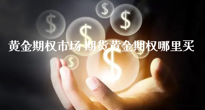 黄金期权市场 期货黄金期权哪里买_https://www.xyskdbj.com_期货行情_第1张