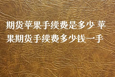 期货苹果手续费是多少 苹果期货手续费多少钱一手_https://www.xyskdbj.com_期货学院_第1张