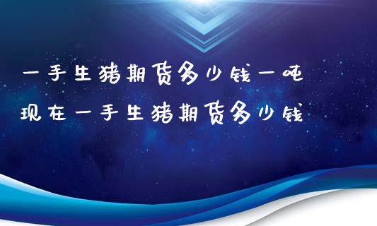 一手生猪期货多少钱一吨 现在一手生猪期货多少钱_https://www.xyskdbj.com_原油直播_第1张