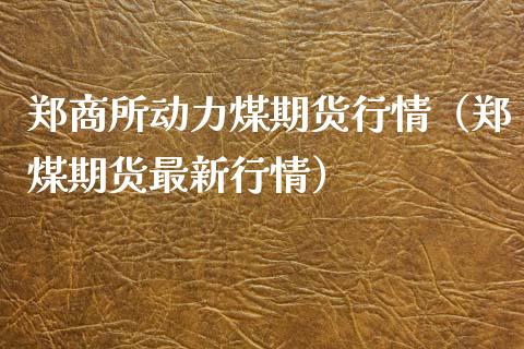 郑商所动力煤期货行情（郑煤期货最新行情）_https://www.xyskdbj.com_期货学院_第1张