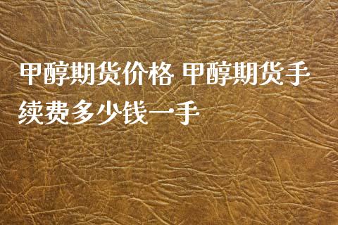 甲醇期货价格 甲醇期货手续费多少钱一手_https://www.xyskdbj.com_期货手续费_第1张