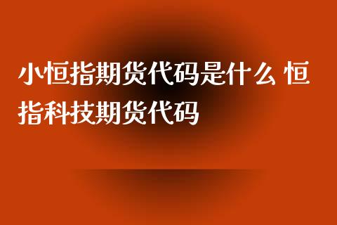 小恒指期货代码是什么 恒指科技期货代码_https://www.xyskdbj.com_期货学院_第1张