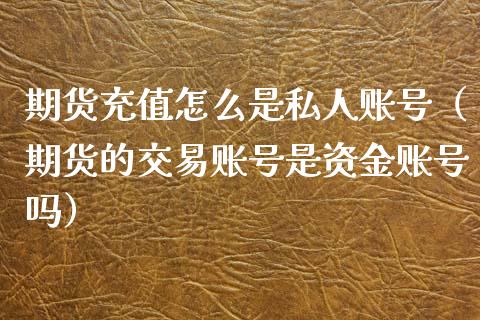 期货充值怎么是私人账号（期货的交易账号是资金账号吗）_https://www.xyskdbj.com_期货学院_第1张