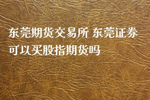 东莞期货交易所 东莞证券可以买股指期货吗_https://www.xyskdbj.com_期货学院_第1张